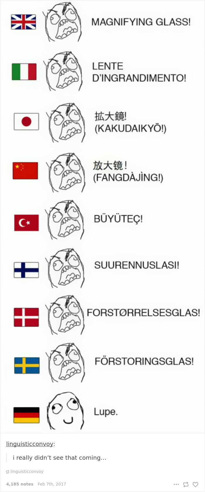 Nobody Expected That From You, German Language