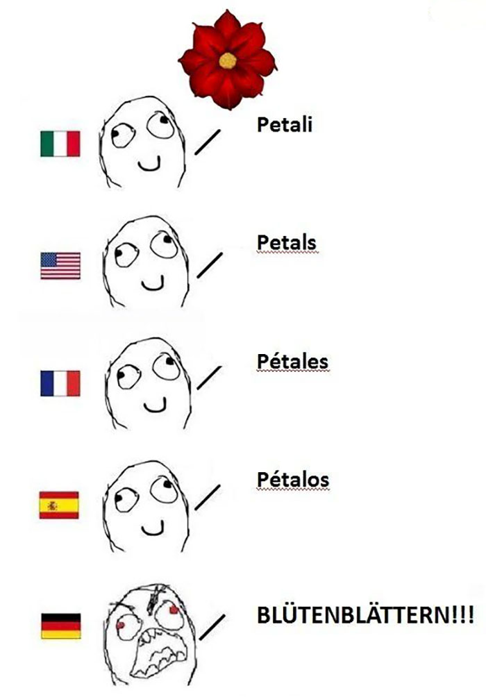 Funny German Language