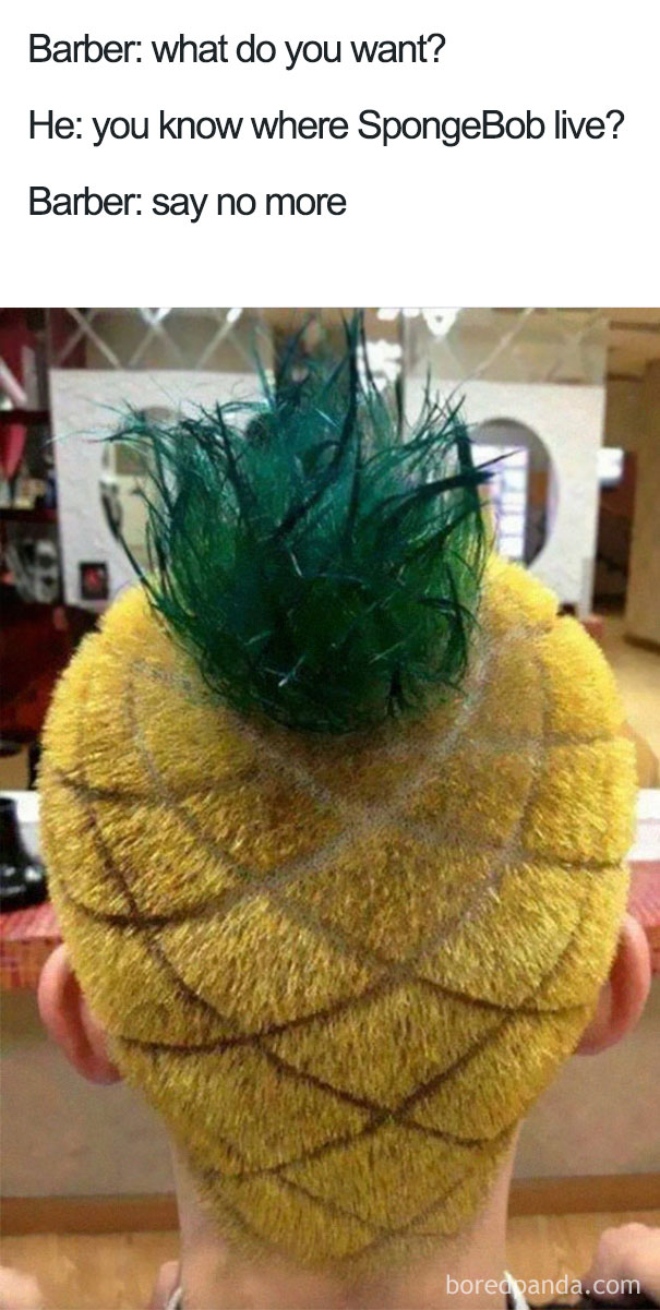 Pineapple-style haircut, a unique and humorous example of a terrible haircut meme.