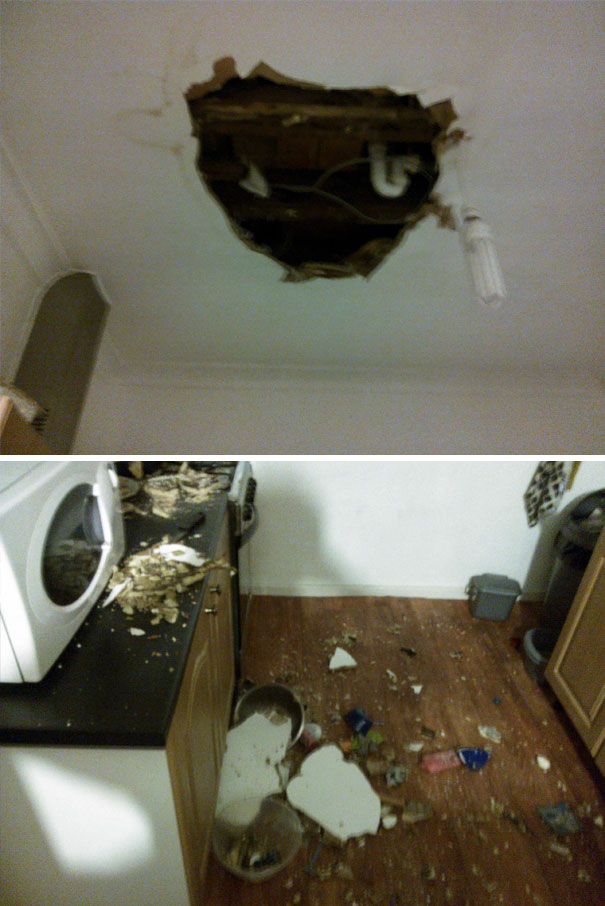 I Was Cooking Dinner When Suddenly This Happened