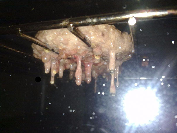 Oven Grilled Hamburgers