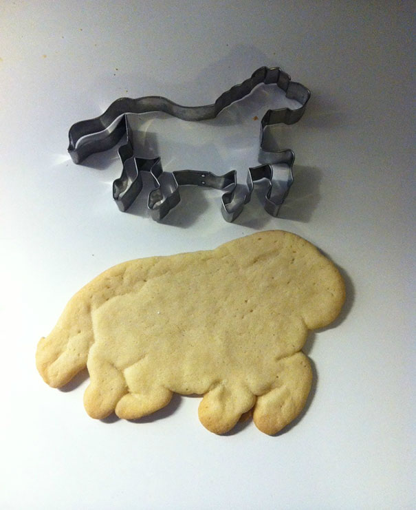 Expectations Vs. Reality