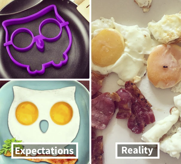I Had A Crack At The Owl Egg Today For Breakfast... Expectation Vs Reality
