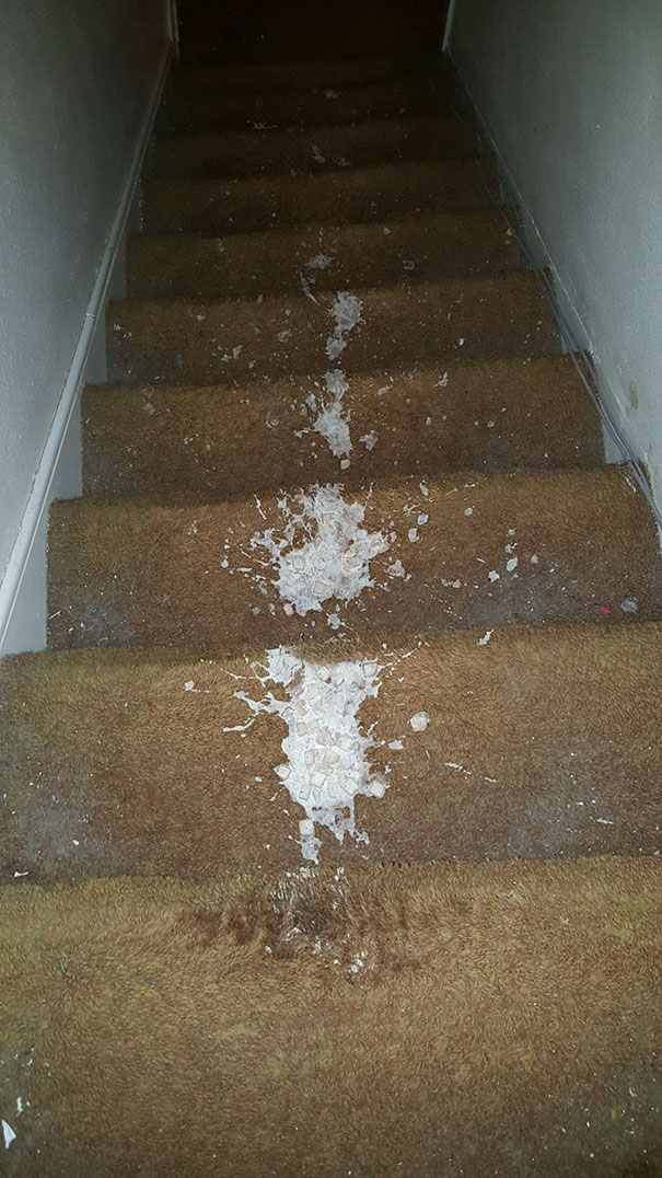 New England Style Clam Chowder