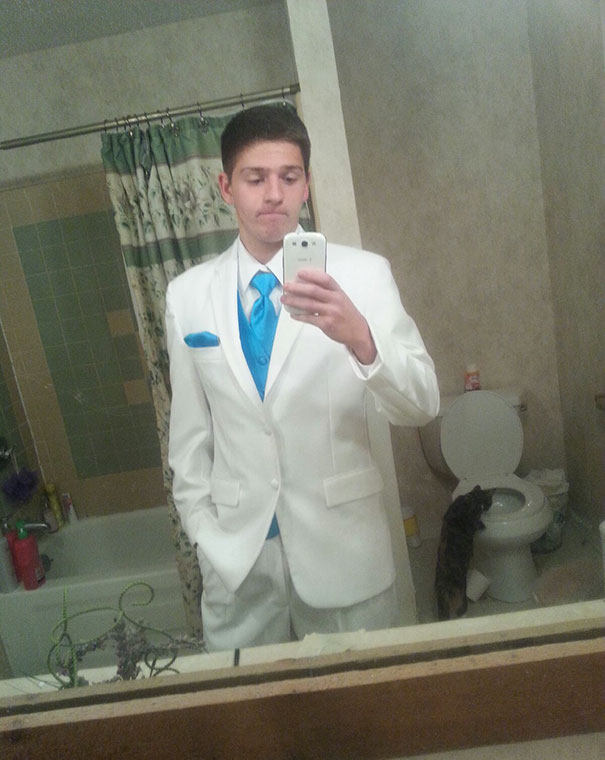 Man taking mirror selfie with a cat drinking from the toilet in reflection