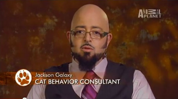 Man identified as a cat behavior consultant on a TV show, with a serious expression, wearing glasses and a tie.
