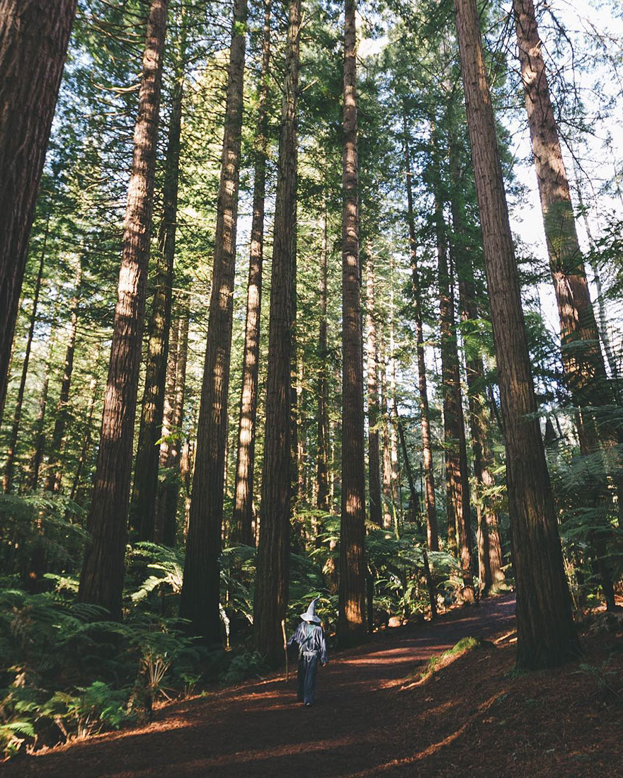 ‎gandalf The Guide‬