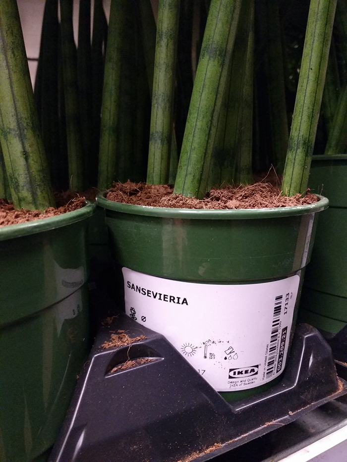 guy-try-figure-out-visit-ikea-again-17 guy-try-figure-out-visit-ikea-again-17