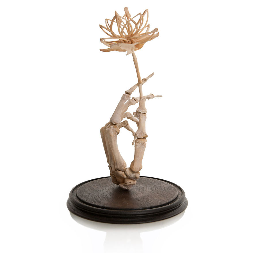 Taking Real Human Bones And Giving Them A New Lease Of Life Taking Real Human Bones And Giving Them A New Lease Of Life