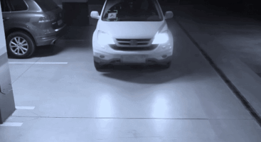 Russia Is Using Holograms To Protect Disabled Parking Spaces