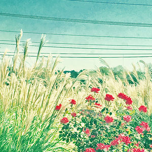 olivia-b-dunlap_1 avatar