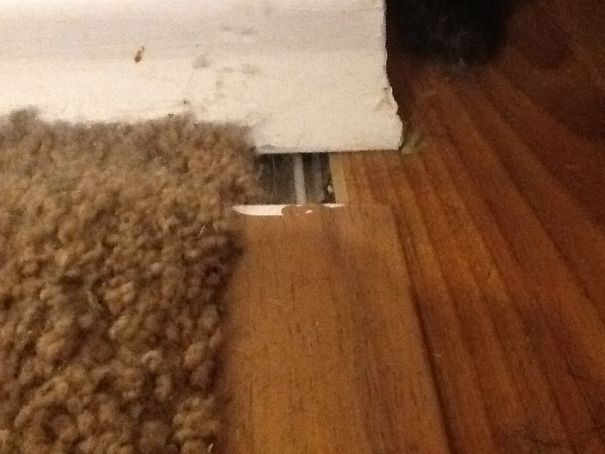 So......you Didn't Have Enough Paneling For The Floor.