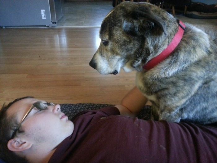 Reasons You Should Never Own A Rescue Reasons You Should Never Own A Rescue