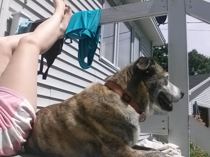 Reasons You Should Never Own A Rescue Reasons You Should Never Own A Rescue