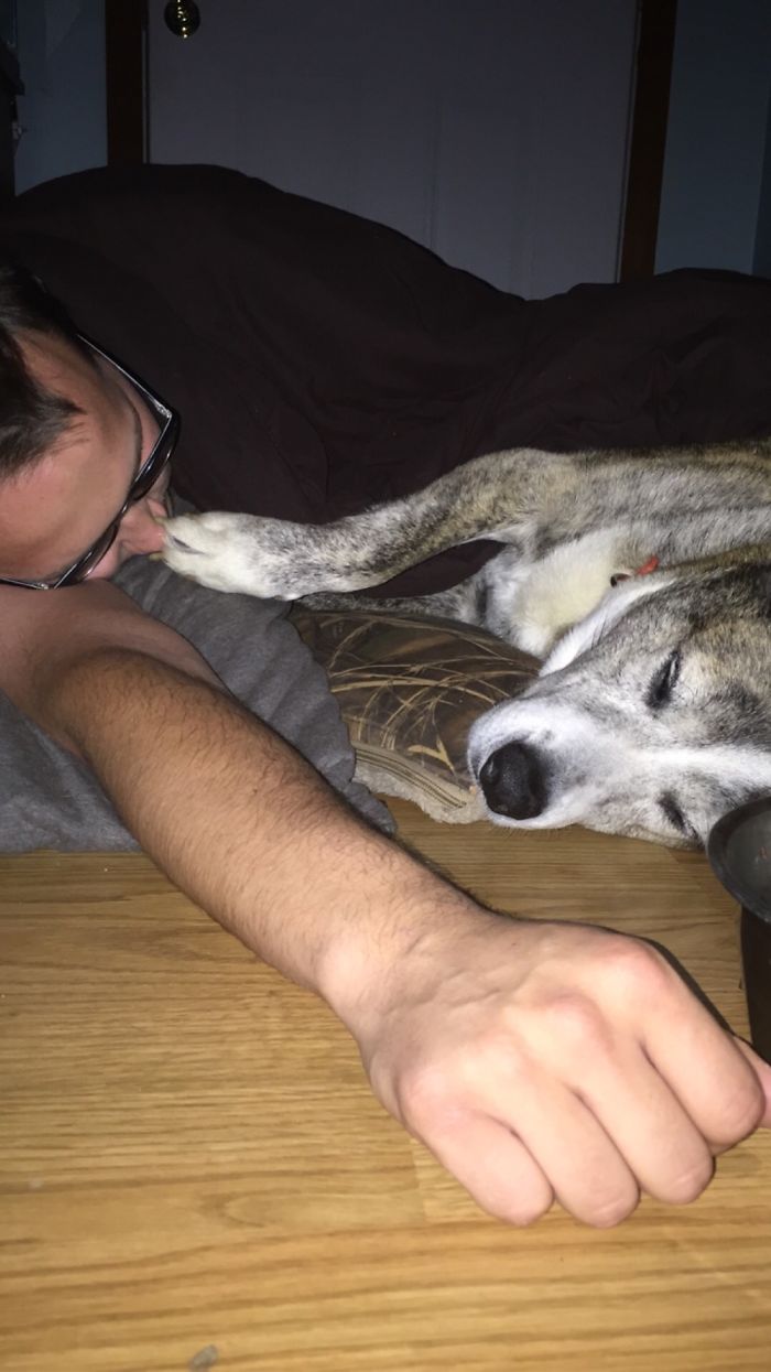 Reasons You Should Never Own A Rescue Reasons You Should Never Own A Rescue