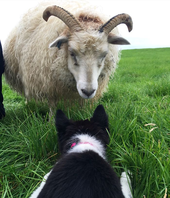 They Don't Always Get Along