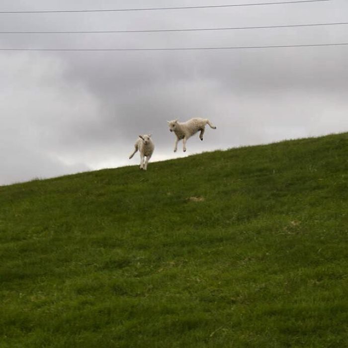 Jumping Skoppa & Skrítla