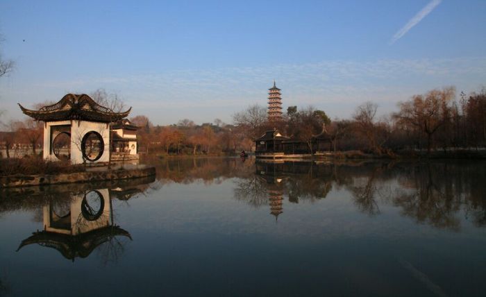 Withered Lotus In The Winter