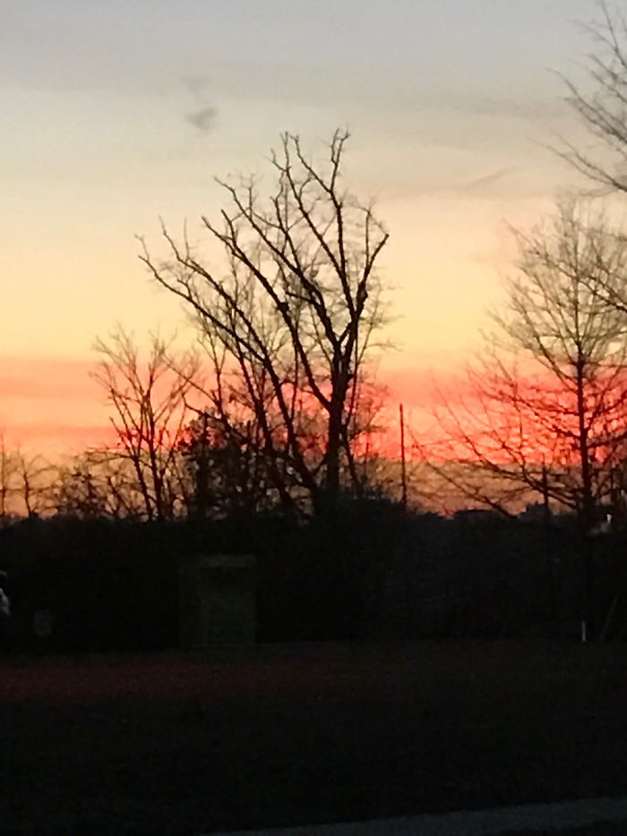 10 Things To Make You Happy Today