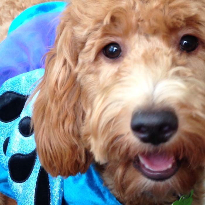 10 Things To Make You Happy Today 10 Things To Make You Happy Today