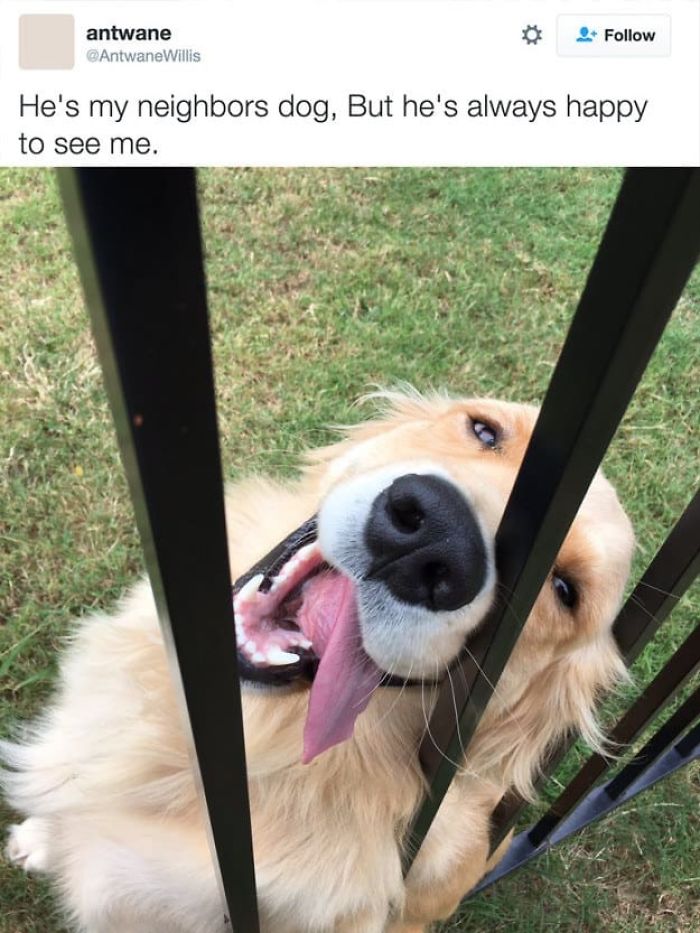 10 Things To Make You Happy Today