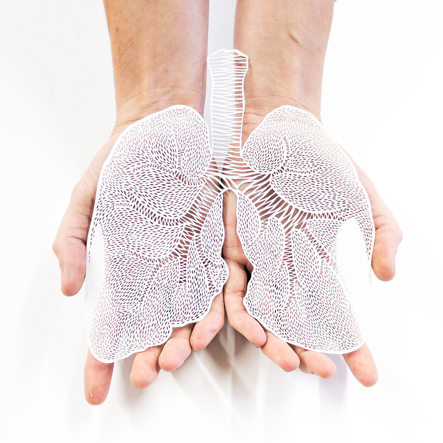 I Hand-Cut Anatomical Organs Out Of Paper I Hand-Cut Anatomical Organs Out Of Paper