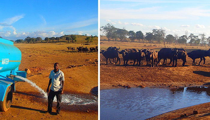 Este hombre conduce durante horas cada día de sequía para llevar agua a los animales salvajes sedientos