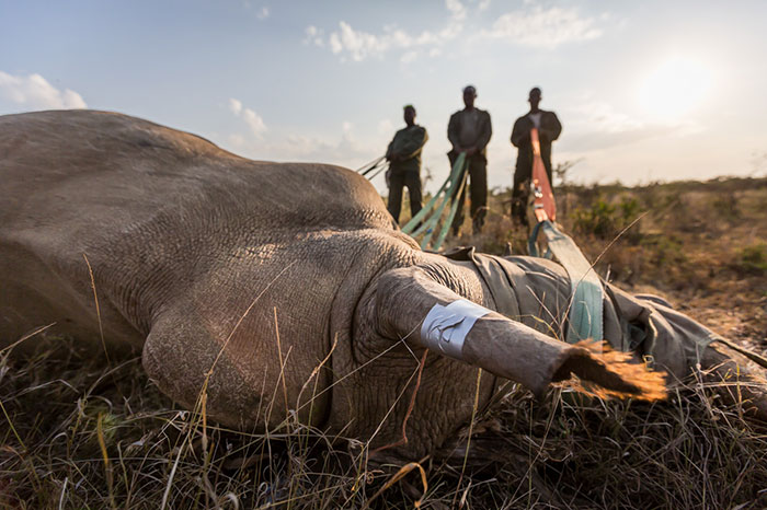 national-park-shoots-people-protects-rhinos-kaziranga-15 national-park-shoots-people-protects-rhinos-kaziranga-15