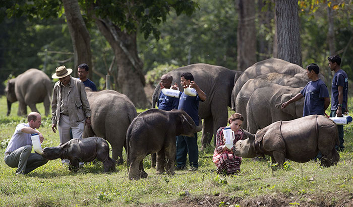 national-park-shoots-people-protects-rhinos-kaziranga-6 national-park-shoots-people-protects-rhinos-kaziranga-6