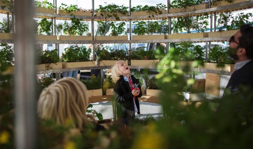 open-source-plans-garden-ikea-growroom-3 open-source-plans-garden-ikea-growroom-3