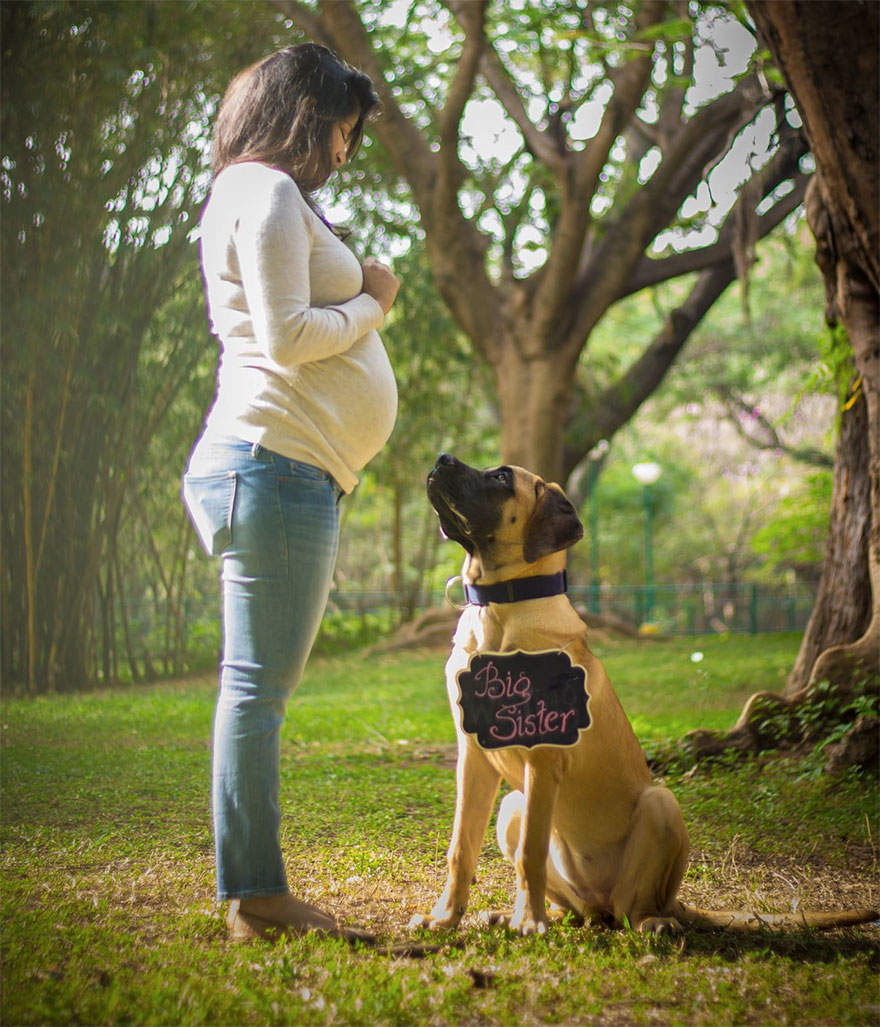 pregnant-couple-dogs-photoshoot-18 pregnant-couple-dogs-photoshoot-18