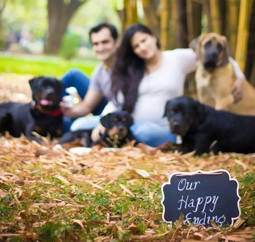 pregnant-couple-dogs-photoshoot-19 pregnant-couple-dogs-photoshoot-19