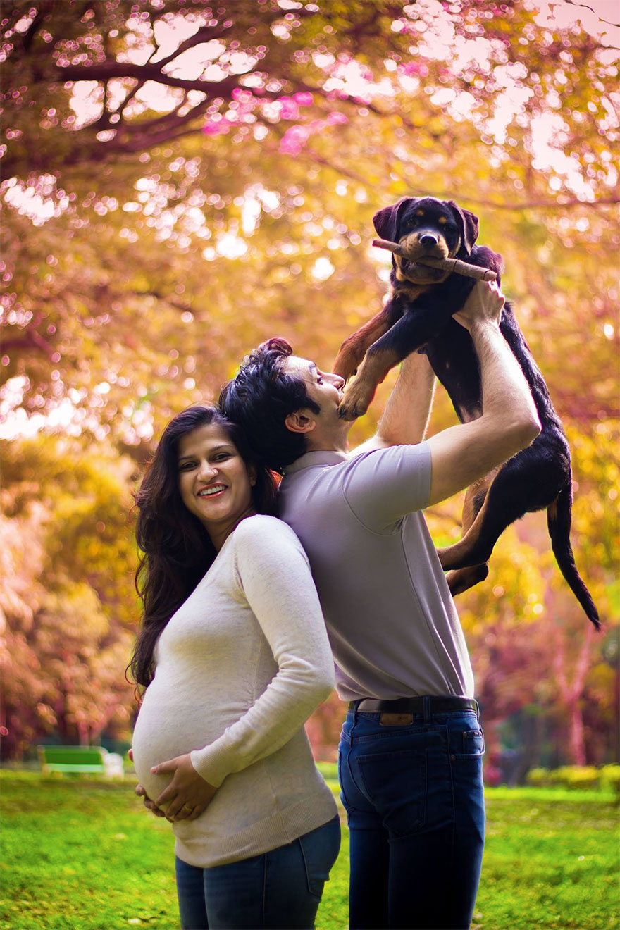 pregnant-couple-dogs-photoshoot-20 pregnant-couple-dogs-photoshoot-20