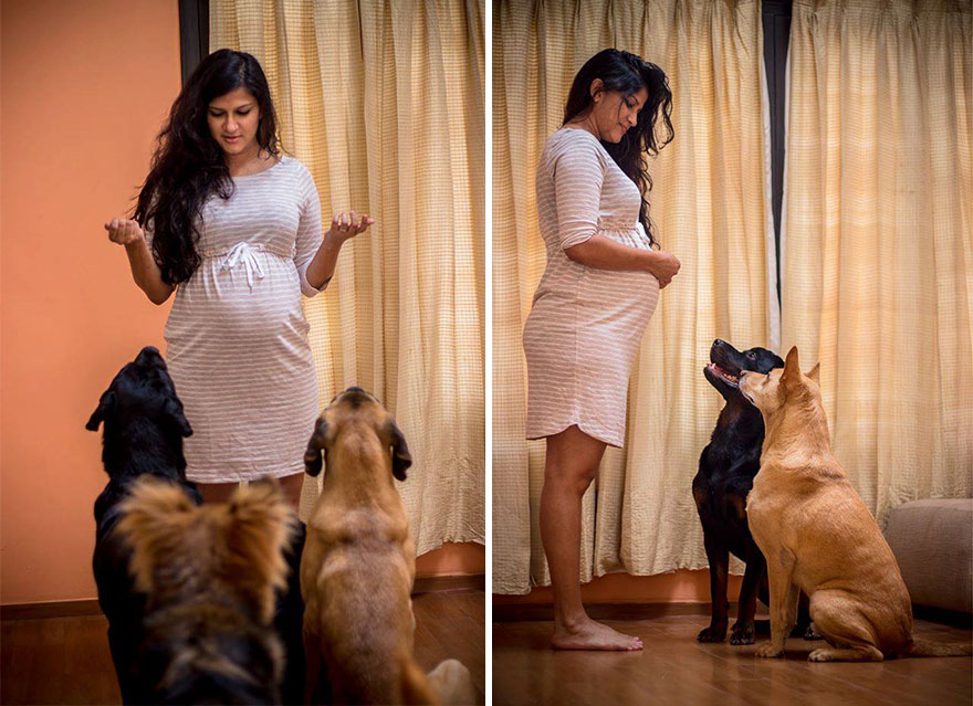 pregnant-couple-dogs-photoshoot-7 pregnant-couple-dogs-photoshoot-7