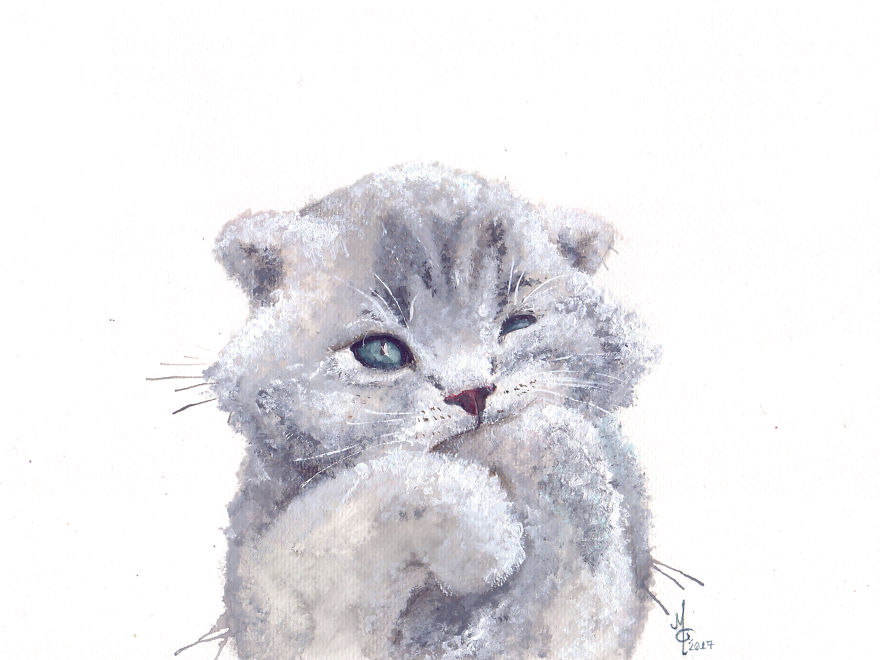 Watercolor Animals By Illustrations Of Dreams