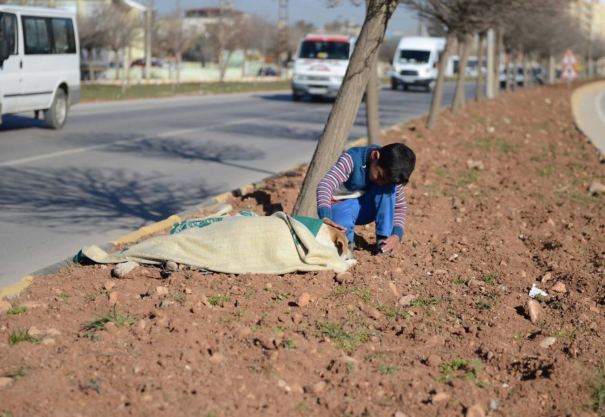 Refugee Boy Refuses To Leave Injured Stray Dog Until Help Arrives