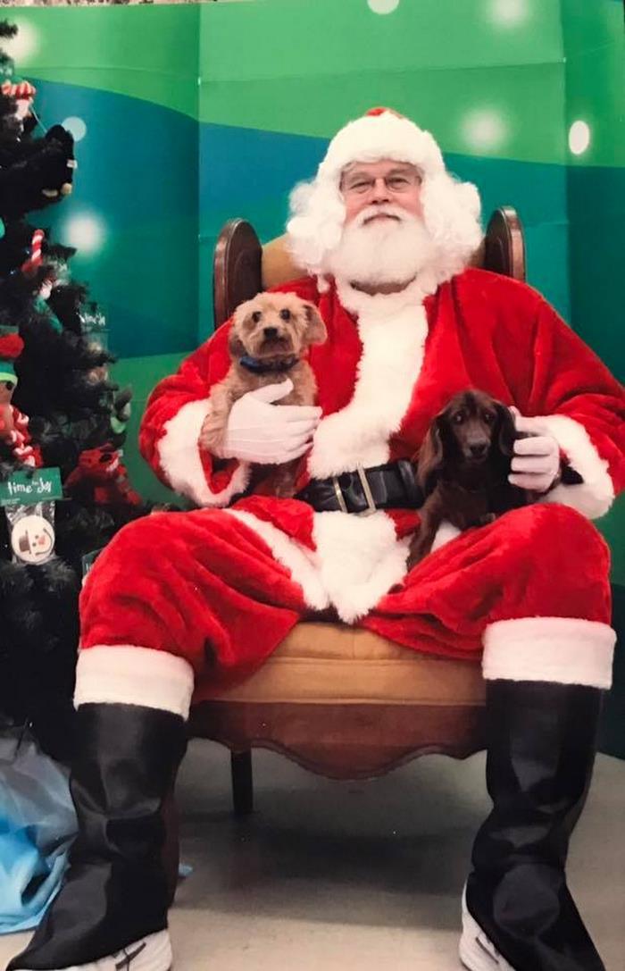 senior-rescue-dog-bucket-list-morgan-4 senior-rescue-dog-bucket-list-morgan-4