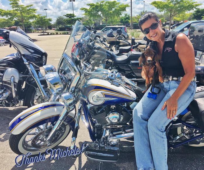 senior-rescue-dog-bucket-list-morgan-8 senior-rescue-dog-bucket-list-morgan-8