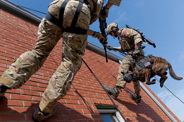 Bassie Practices Rappelling From A Roof And Leaping Through A Window To Confront An Enemy, Reducing The Risk To The Men Who Follow