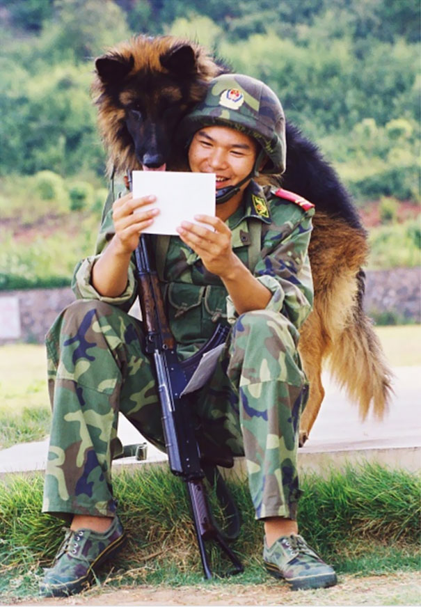 Policeman Trains Their Dogs At Wanbei Police Dog Training Ceter In Anhui Province