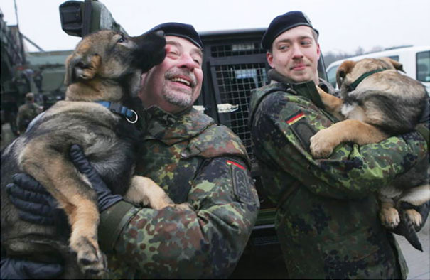 A Member Of The German Lutfwaffe Gets A Lick From Candy, A 15-Week Old German Shepherd Who Will Be Trained To Detect Explosives