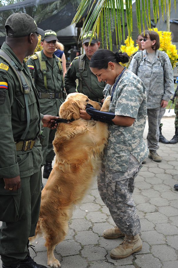 U.S. Army Sgt. Bethzabe Delgado, Right, Prepares A Dog To Receive An Iv During A Subject Matter Expert Exchange For Military And Police Dog Handlers In Tumaco, Colombia