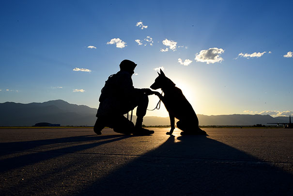 Senior Airman Tariq Russell Shakes The Paw Of His Partner