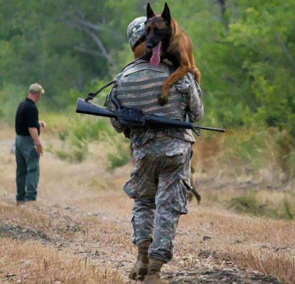 Soldier And His Service Dog