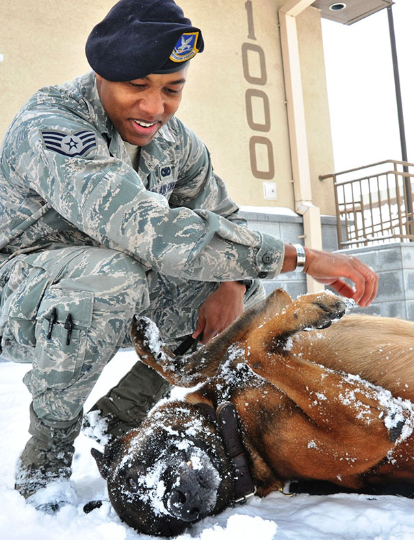 Staff Sgt. Mark Bush, 8th Security Forces Squadron Military Working Dog Handler, Takes A Break From Validation Training With Iian, 8th Sfs Military Working Dog