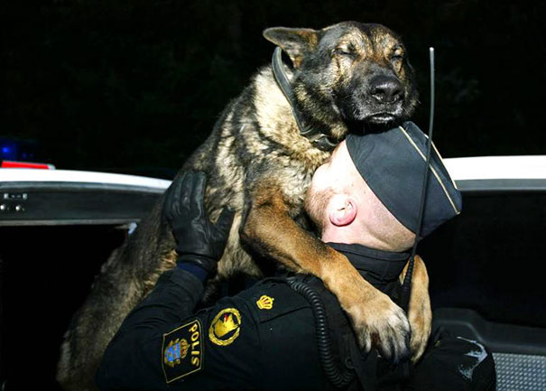 Police Dog And His Handler
