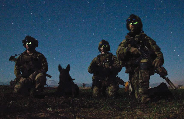 Rangers From Headquarters And Headquarters Company, 3rd Battalion, 75th Ranger Regiment, And A Multi-Purpose Canine Pause During A Nighttime Combat Mission In Afghanistan