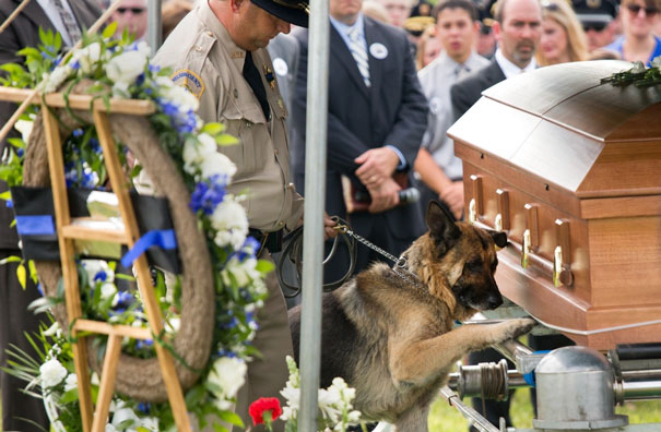 Fallen Bardstown Police Officer Jason Ellis' Partner Figo Pays His Last Respects