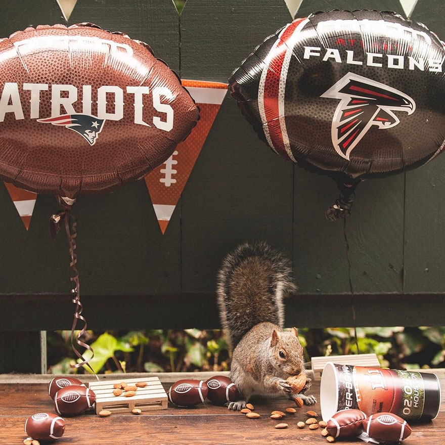 squirrel-parties-ashly-deskins-photography-10 squirrel-parties-ashly-deskins-photography-10