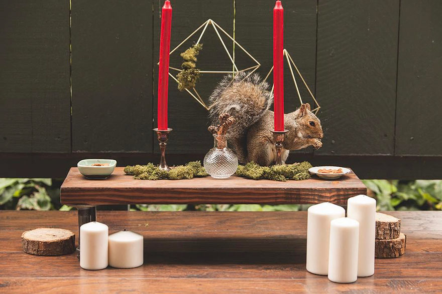 squirrel-parties-ashly-deskins-photography-21